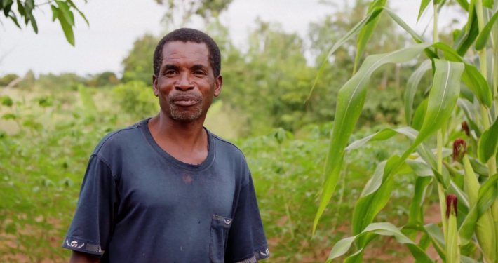Malawi gezinnen Foundations for Farming